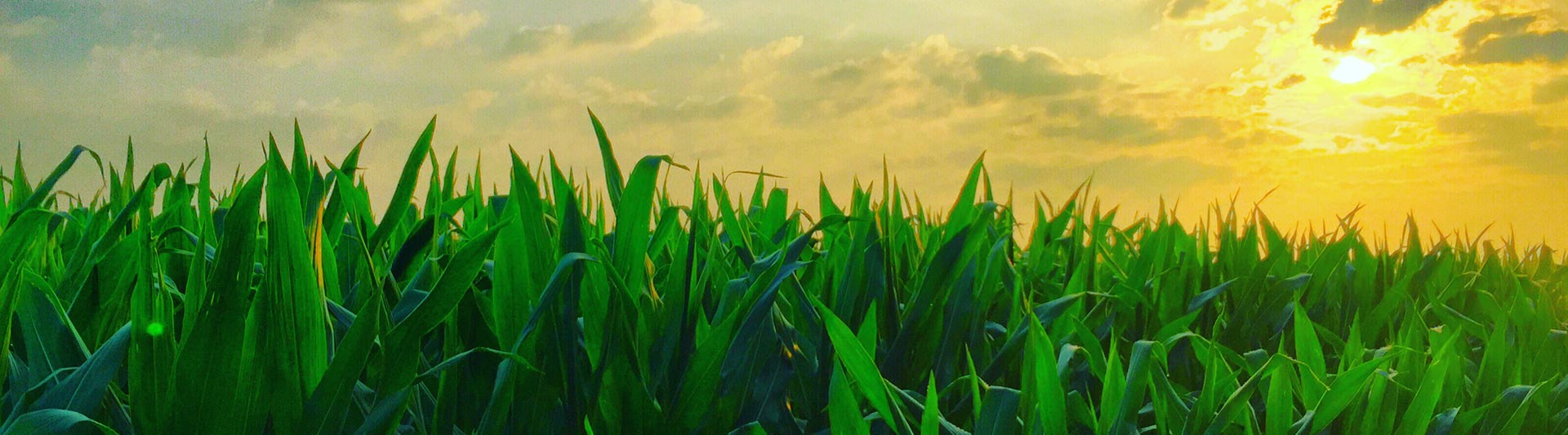 Ohio Agricultural Helicopter Services